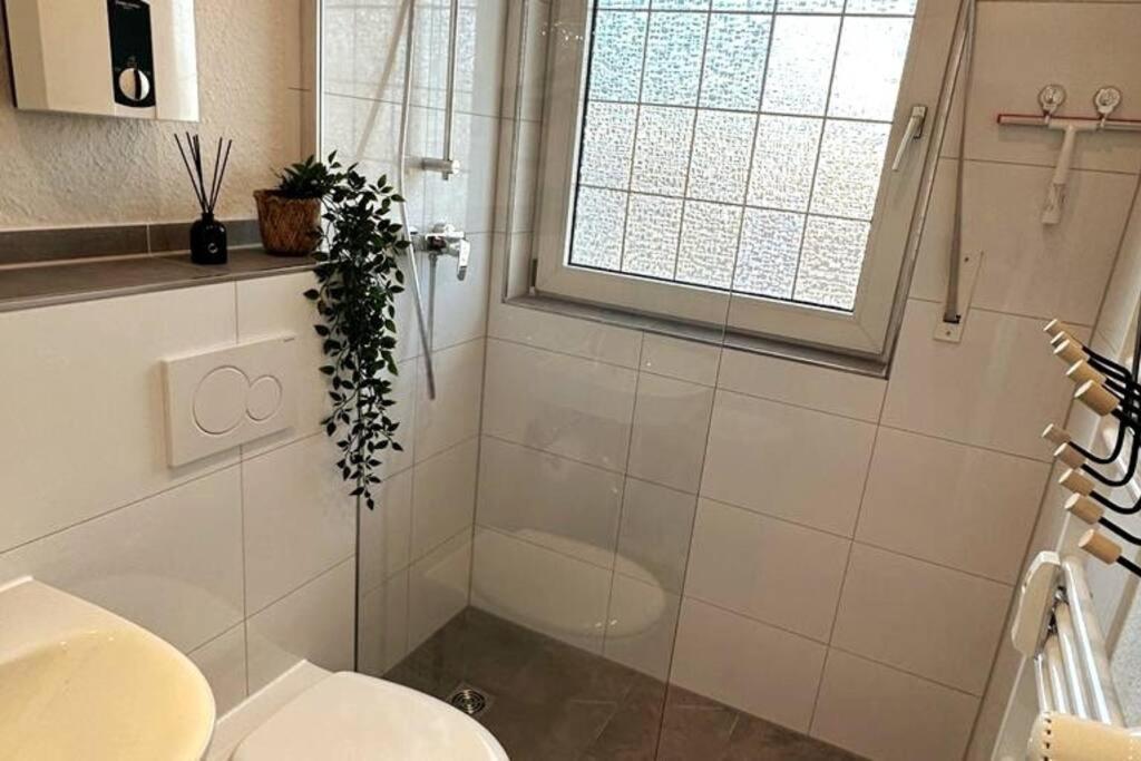 Apartment Zitouna